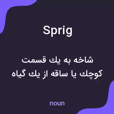معنی sprig به فارسی معنی sprig به فارسی