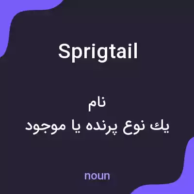 معنی sprigtail به فارسی معنی sprigtail به فارسی