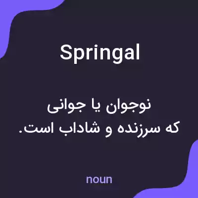 معنی springal به فارسی معنی springal به فارسی