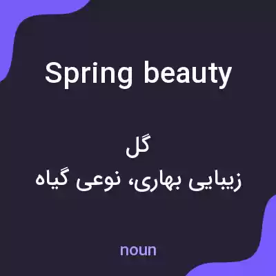 معنی spring beauty به فارسی معنی spring beauty به فارسی