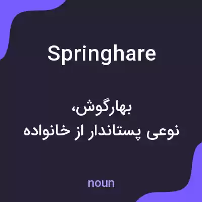 معنی springhare به فارسی معنی springhare به فارسی