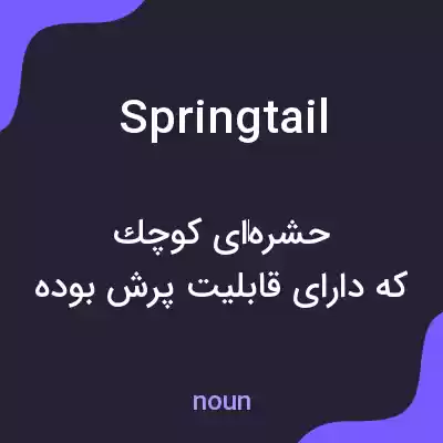 معنی springtail به فارسی معنی springtail به فارسی