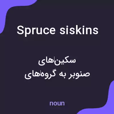 معنی spruce siskins به فارسی معنی spruce siskins به فارسی