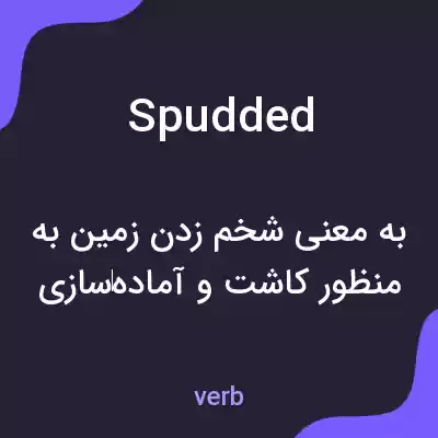 معنی spudded به فارسی معنی spudded به فارسی