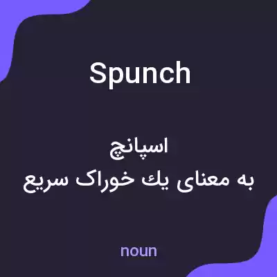 معنی spunch به فارسی معنی spunch به فارسی