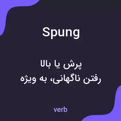 معنی spung به فارسی معنی spung به فارسی
