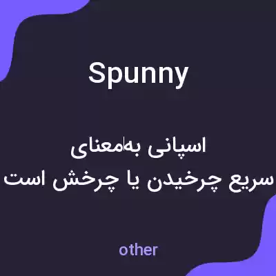 معنی spunny به فارسی معنی spunny به فارسی