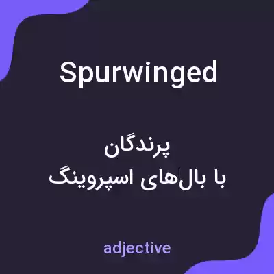 معنی spurwinged به فارسی معنی spurwinged به فارسی