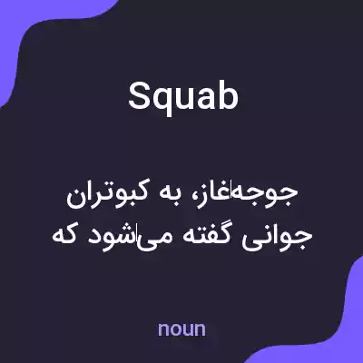 معنی squab به فارسی