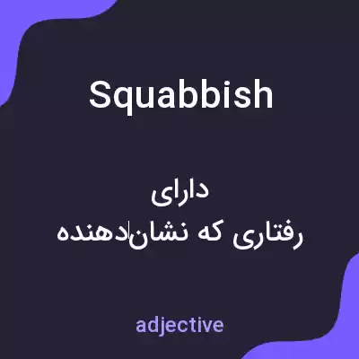 معنی squabbish به فارسی معنی squabbish به فارسی