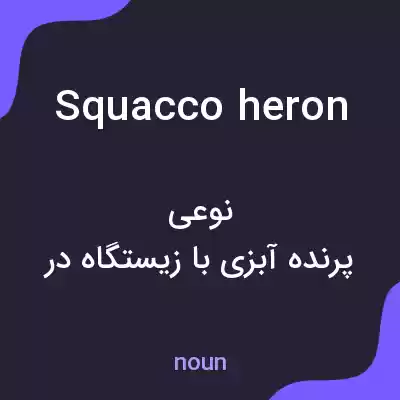 معنی squacco heron به فارسی معنی squacco heron به فارسی
