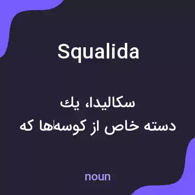 معنی squalida به فارسی معنی squalida به فارسی