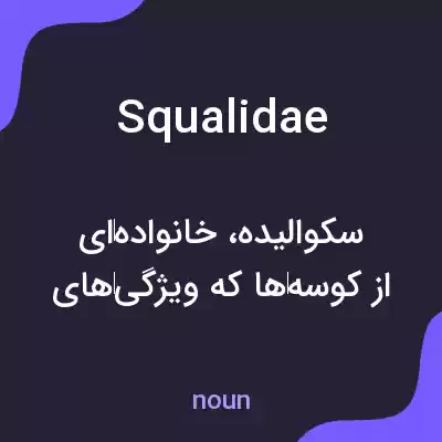 معنی squalidae به فارسی معنی squalidae به فارسی