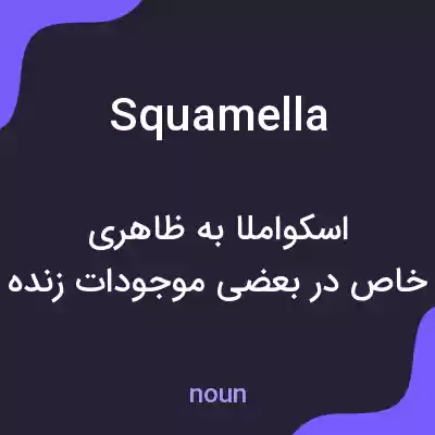 معنی squamella به فارسی معنی squamella به فارسی