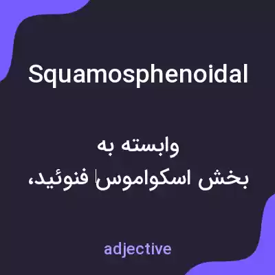 معنی squamosphenoidal به فارسی معنی squamosphenoidal به فارسی