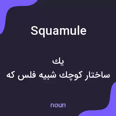 معنی squamule به فارسی معنی squamule به فارسی