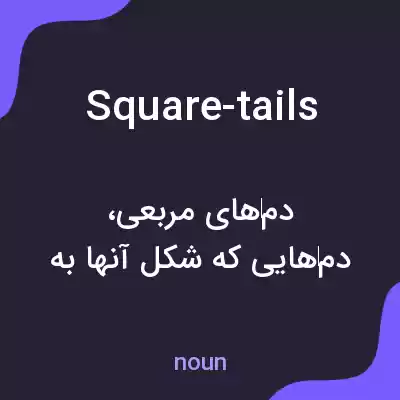 معنی square-tails به فارسی