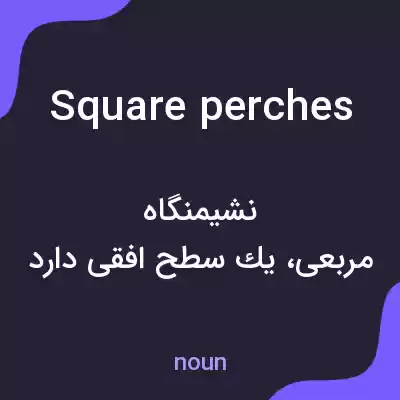 معنی square perches به فارسی معنی square perches به فارسی