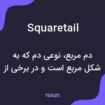 معنی squaretail به فارسی معنی squaretail به فارسی