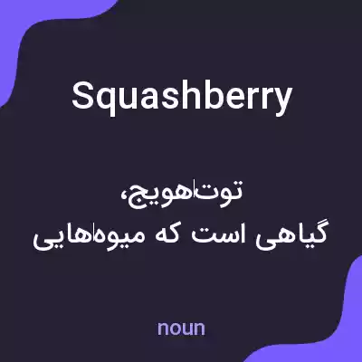 معنی squashberry به فارسی