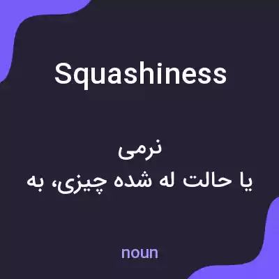معنی squashiness به فارسی