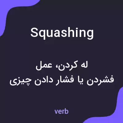معنی squashing به فارسی معنی squashing به فارسی