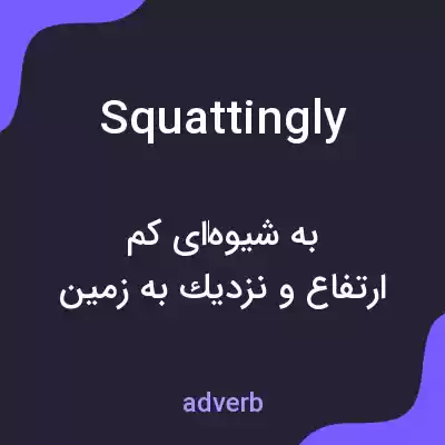 معنی squattingly به فارسی