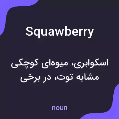 معنی squawberry به فارسی معنی squawberry به فارسی