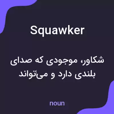 معنی squawker به فارسی معنی squawker به فارسی