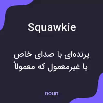 معنی squawkie به فارسی