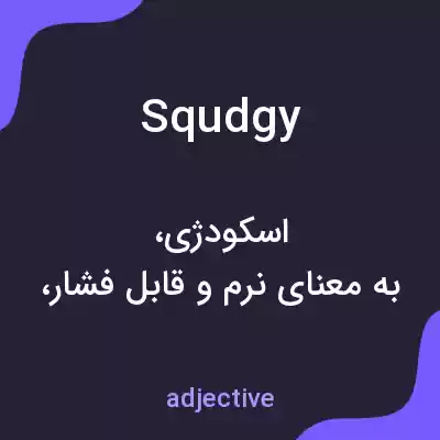 معنی squdgy به فارسی معنی squdgy به فارسی