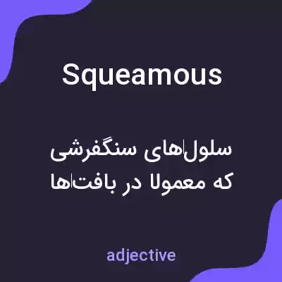 معنی squeamous به فارسی معنی squeamous به فارسی