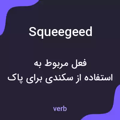 معنی squeegeed به فارسی معنی squeegeed به فارسی