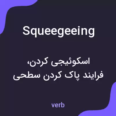 معنی squeegeeing به فارسی معنی squeegeeing به فارسی