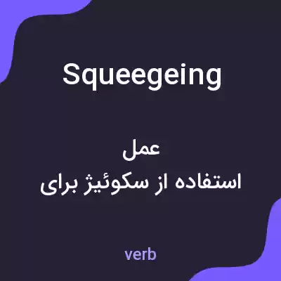 معنی squeegeing به فارسی