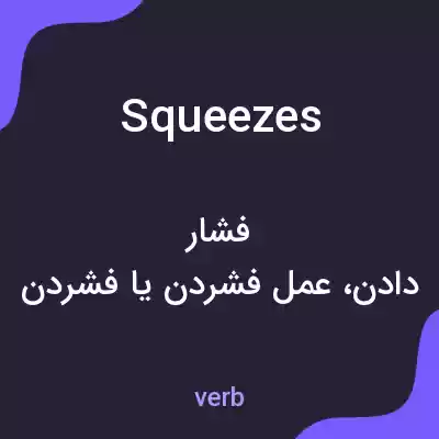 معنی squeezes به فارسی معنی squeezes به فارسی