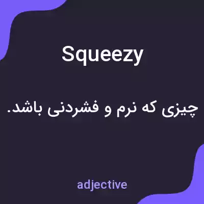 معنی squeezy به فارسی معنی squeezy به فارسی