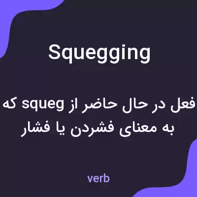 معنی squegging به فارسی معنی squegging به فارسی