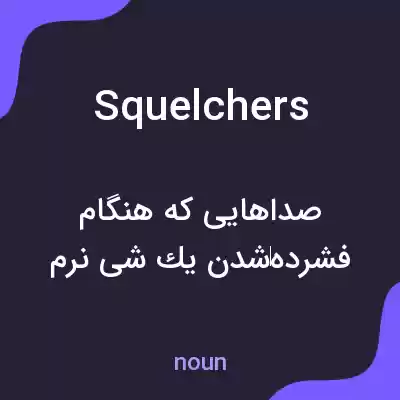 معنی squelchers به فارسی معنی squelchers به فارسی
