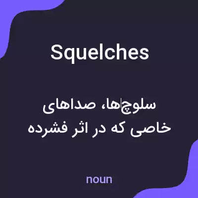 معنی squelches به فارسی معنی squelches به فارسی