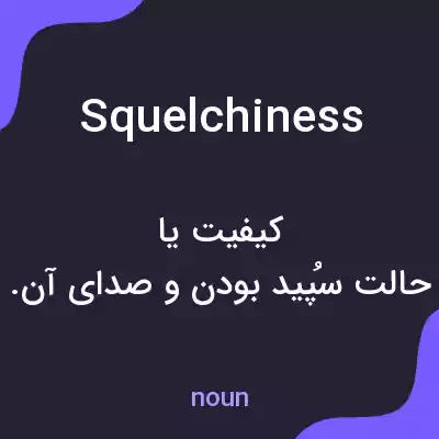 معنی squelchiness به فارسی معنی squelchiness به فارسی