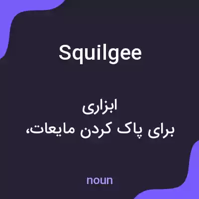 معنی squilgee به فارسی معنی squilgee به فارسی
