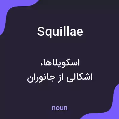 معنی squillae به فارسی