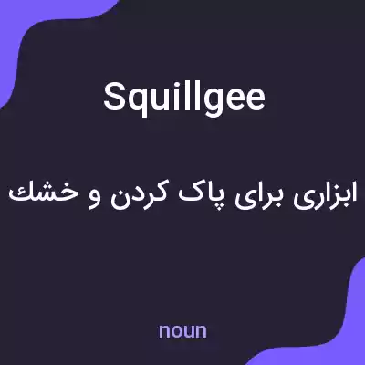 معنی squillgee به فارسی معنی squillgee به فارسی