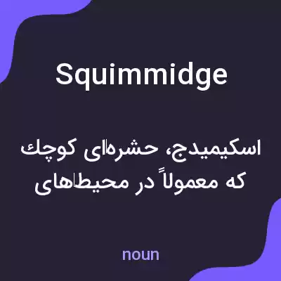معنی squimmidge به فارسی معنی squimmidge به فارسی