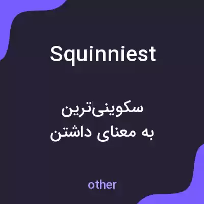 معنی squinniest به فارسی