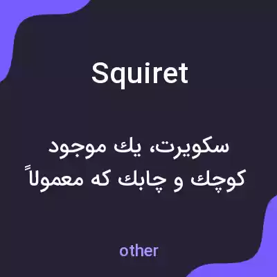 معنی squiret به فارسی معنی squiret به فارسی