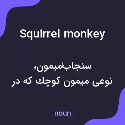 معنی squirrel monkey به فارسی معنی squirrel monkey به فارسی
