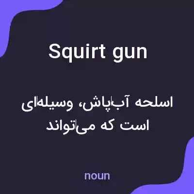 معنی squirt gun به فارسی