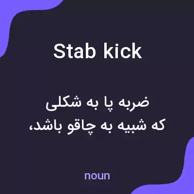معنی stab kick به فارسی معنی stab kick به فارسی
